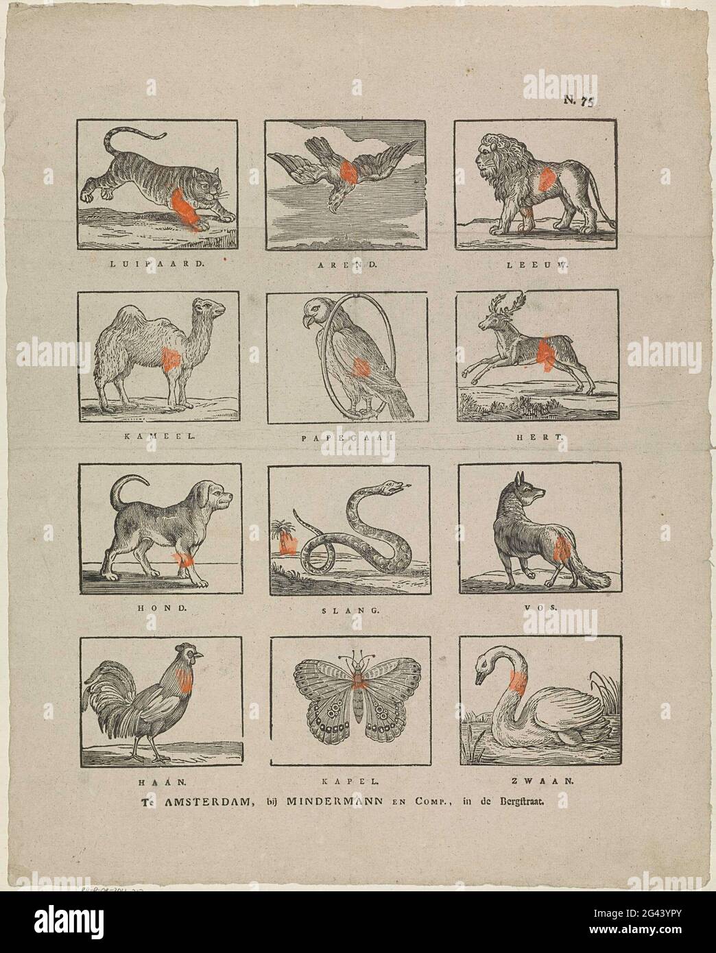 Tiere. Blatt mit 12 Darbietungen von Tieren, wie einem Leoparden, einem Adler, einem Löwen und einem Schmetterling. Unter jedem Bild eine Beschriftung. Rechts oben nummeriert: N. 75. Stockfoto