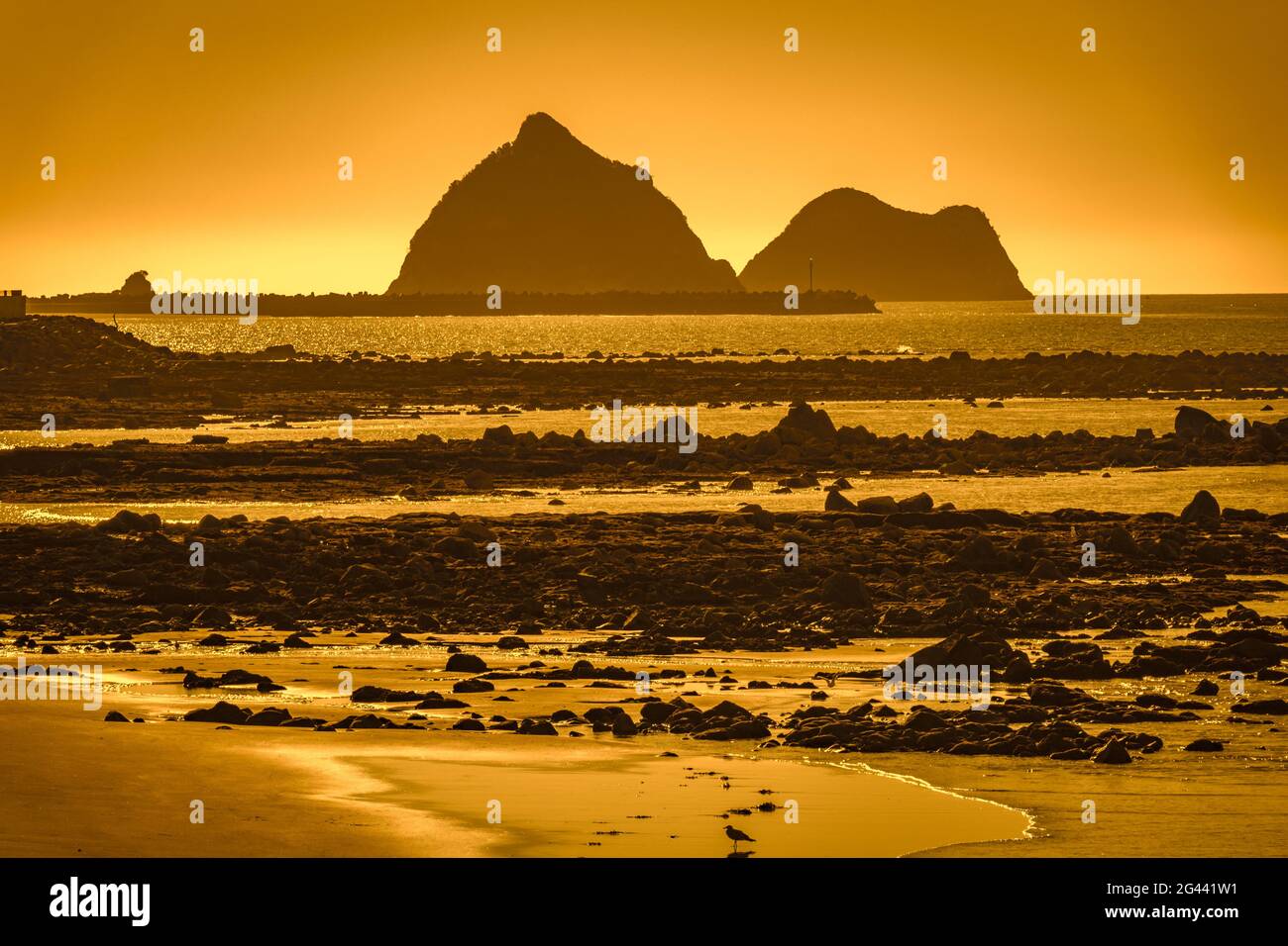 Sonnenuntergangs-Küstenlandschaft auf Nordinsel Neuseeland Stockfoto