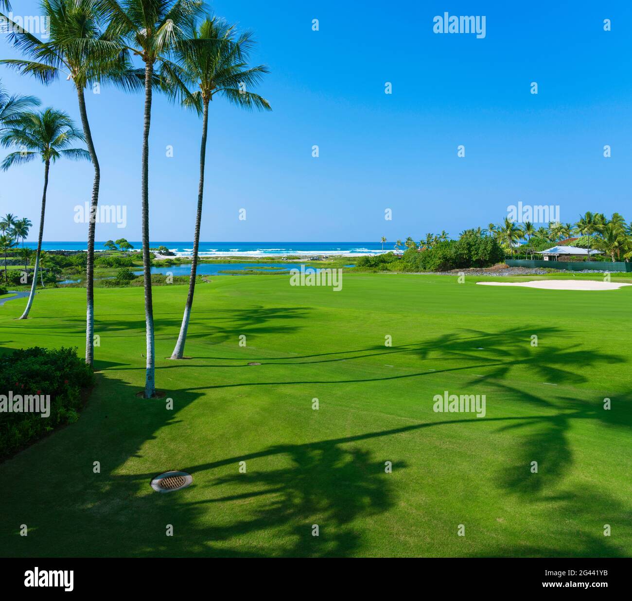 Landschaft mit grünem Golfplatz und Palmen, Hawaii-Inseln, USA Stockfoto