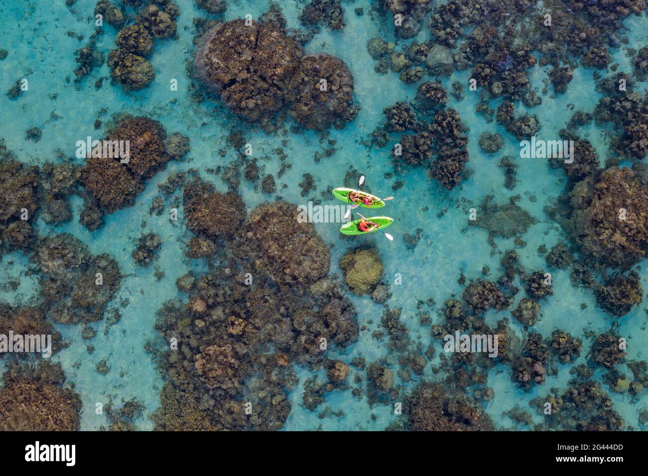 Luftaufnahme von Menschen auf SUP Stand Up Paddling Boards inmitten von Korallen in der Lagune, in der Nähe von Papeete, Tahiti, Windward Islands, Französisch-Polynesien, South Pac Stockfoto