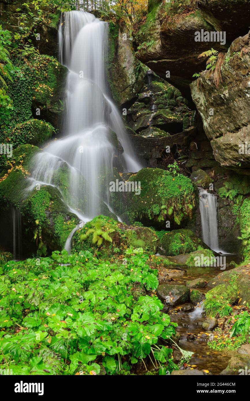 Lichtenhainer Wasserfall, Kirnitzschtal, Nationalpark Sächsische Schweiz, Sächsische Schweiz, Elbsandstein, Sachsen, Deutschland Stockfoto