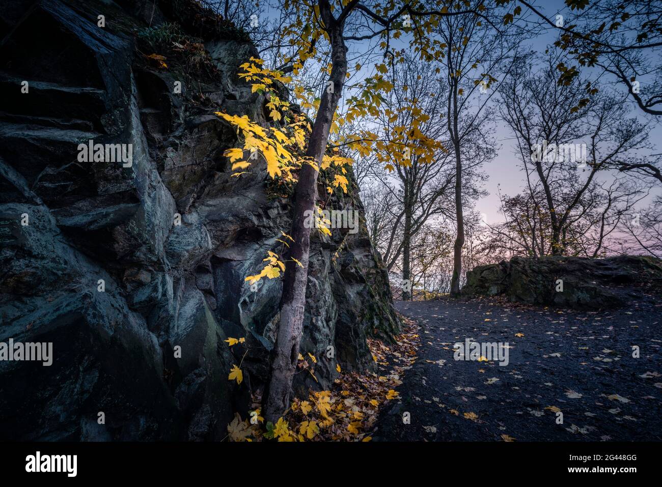 Felsen und Pfad im Herbstwald bei Sonnenuntergang, Thale, Harz, Sachsen-Anhalt, Deutschland, Europa Stockfoto