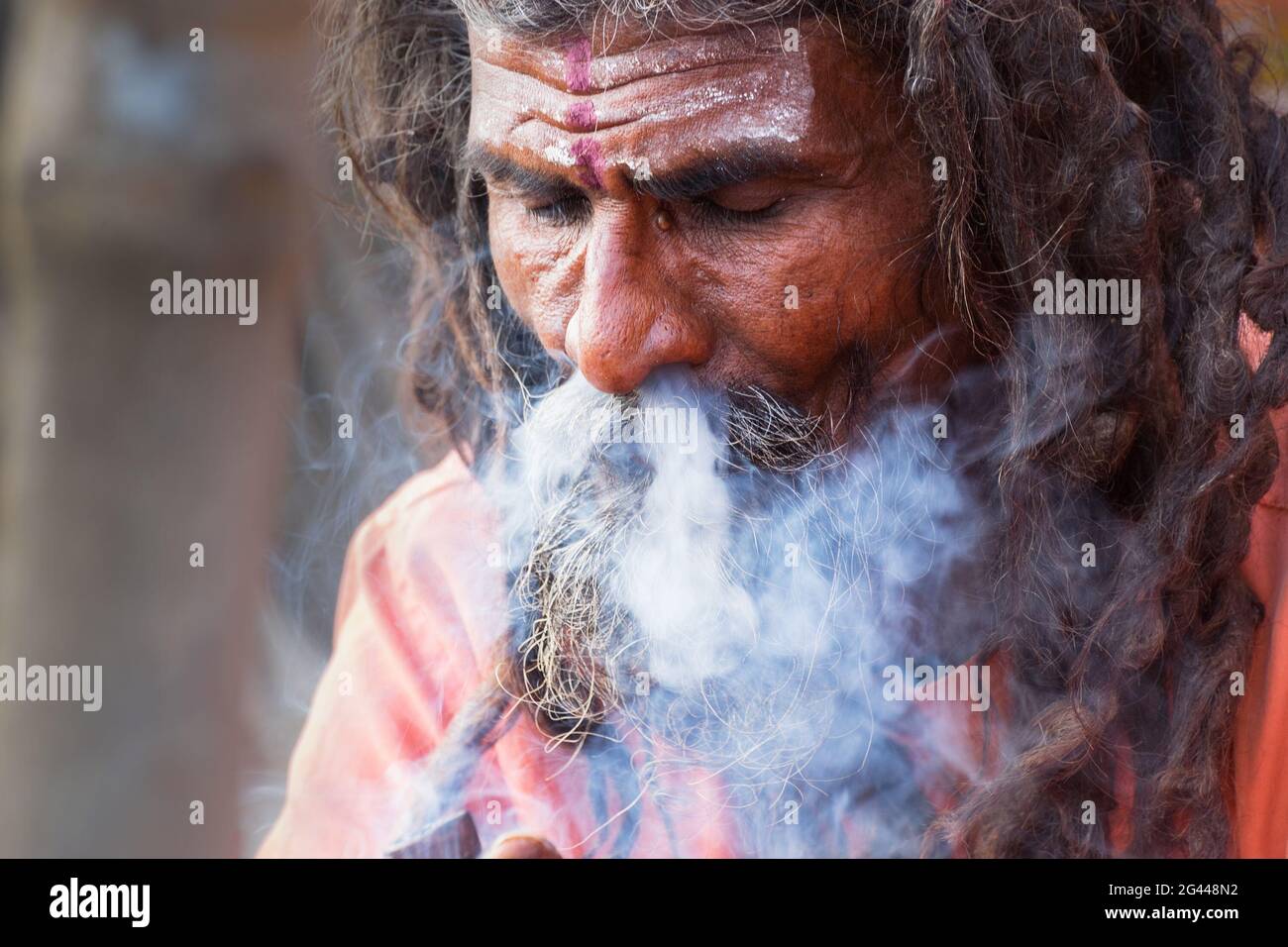 BABUGHAT, KALKUTTA, WESTBENGALEN / INDIEN - 10. JANUAR 2015 : Hindu Sadhu raucht Marihuana, lokal Ganja genannt, eine Form von Canabis sativa . Stockfoto