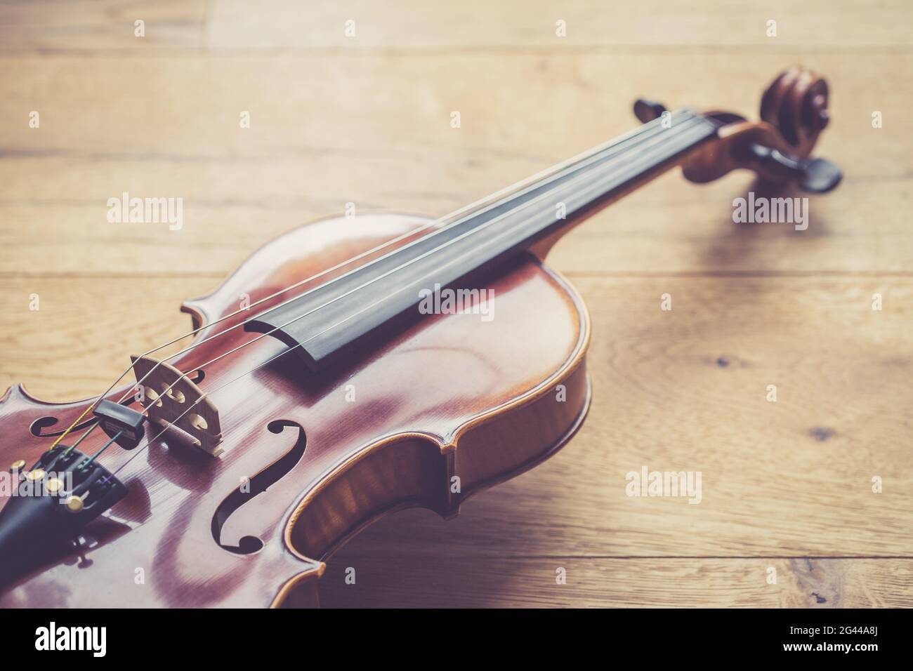 Konzept des Geigenmusikinstruments: Nahaufnahme der Geige im Vintage-Stil Stockfoto