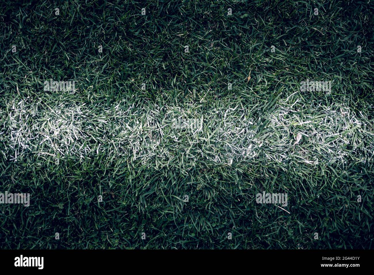 Weiße Streifen auf dem grünen Fußballplatz Stockfoto