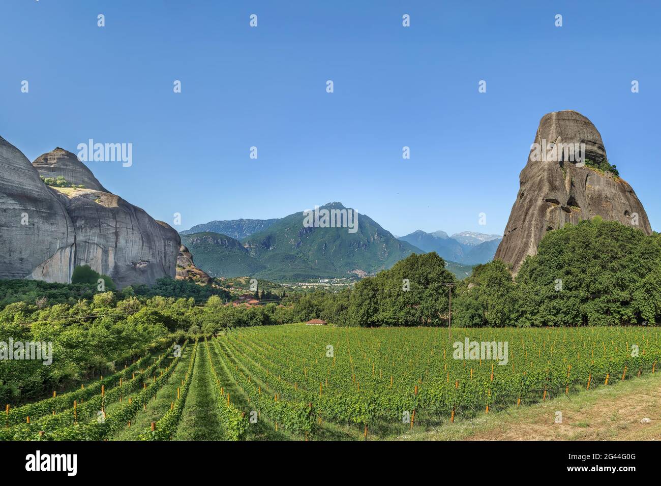 Blick auf den Weinberg, Meteora, Griechenland Stockfoto