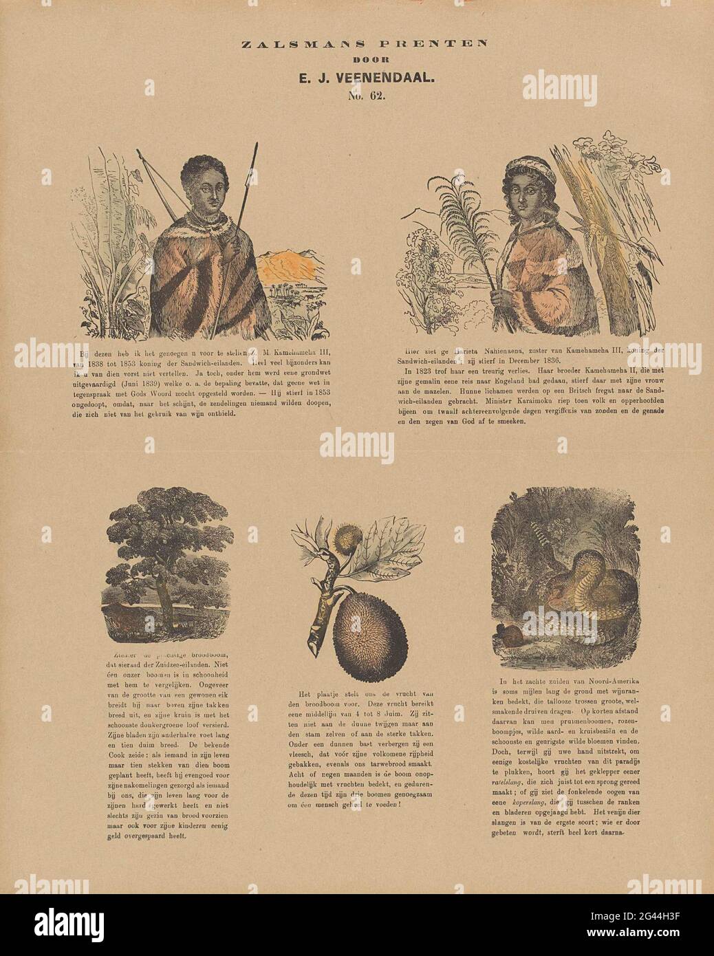 König Kamehameha III. Und seine Schwester Nahiennaena, ein Baum, eine Frucht und eine Schlange; Salmans druckt. Blatt mit 5 Vorstellungen von Kamehameha III. Und seiner Schwester Nahiennaena, einem Baum, einer Frucht und einer Schlange. Unter jedem Bild eine Beschriftung. In der Mitte nummeriert: Nr. 62. Stockfoto