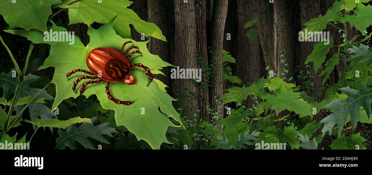 Zeckeninsekt in einem Wald und Parasiten Risiko in der Wildnis als unheimliche Insektenmilbe als Gefahr für lyme-Borreliose in freier Wildbahn in einem 3D-Illustration-Stil. Stockfoto