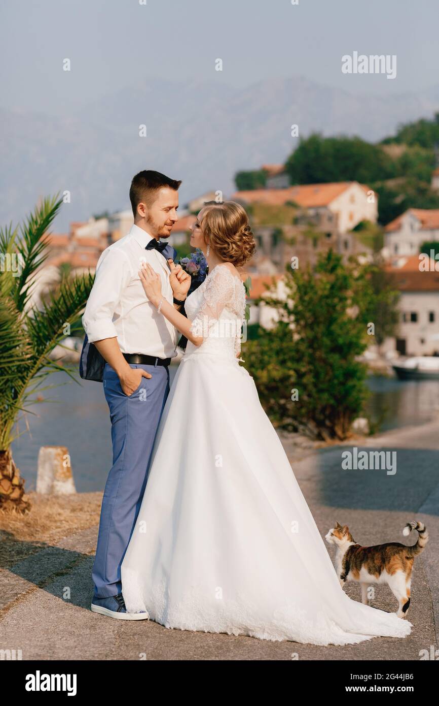 Die Braut und der Bräutigam stehen auf dem Pier umarmt und schauen sich gegenseitig an, da ist eine Katze in der Nähe Stockfoto