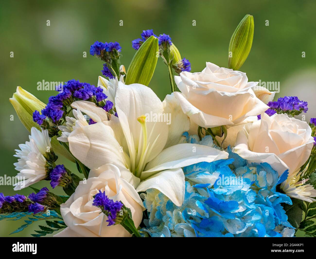 Blumenarrangement aus weißen Lilien und Rosen Stockfoto