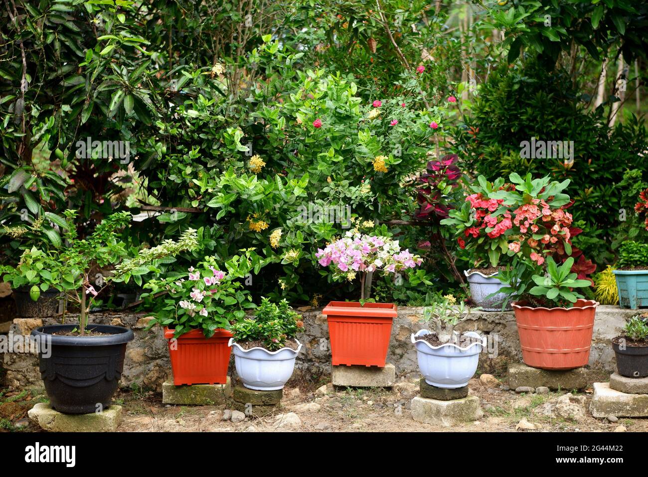 Sommerfest Dekoration Garten Decoupage farbig hängen - DIY Garten, Garden