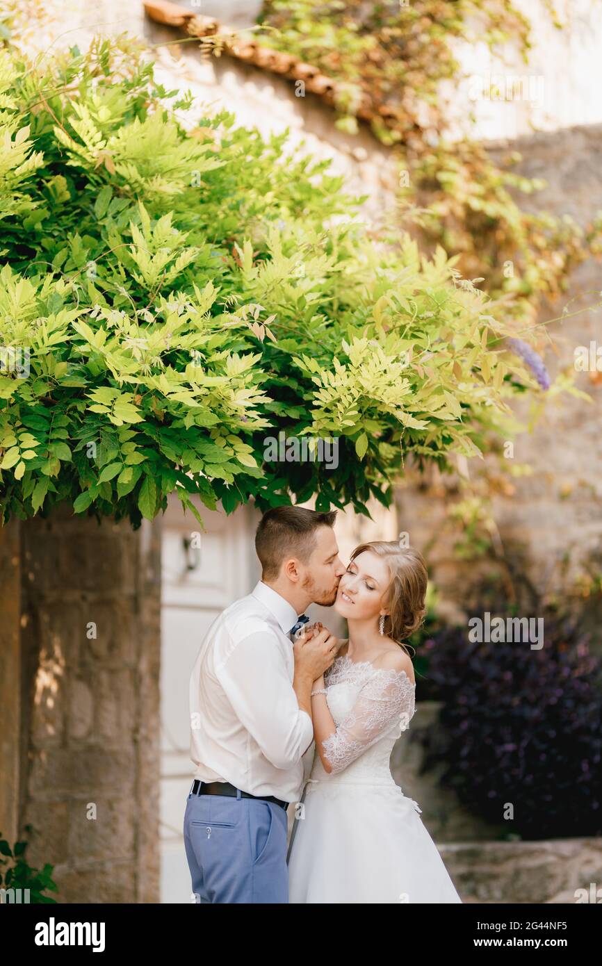 Die Braut und der Bräutigam umarmen sich in einem malerischen Innenhof, unter grünen Ästen, der Bräutigam küsst die Braut auf die Wange Stockfoto
