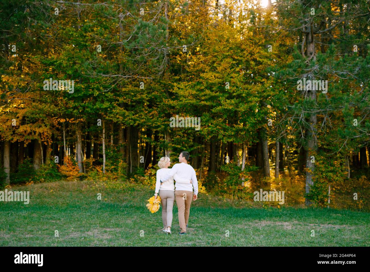 Mann und Frau in weißen Pullovern und beigen Hosen umarmen sich, während sie in den Wald gehen. Rückansicht Stockfoto