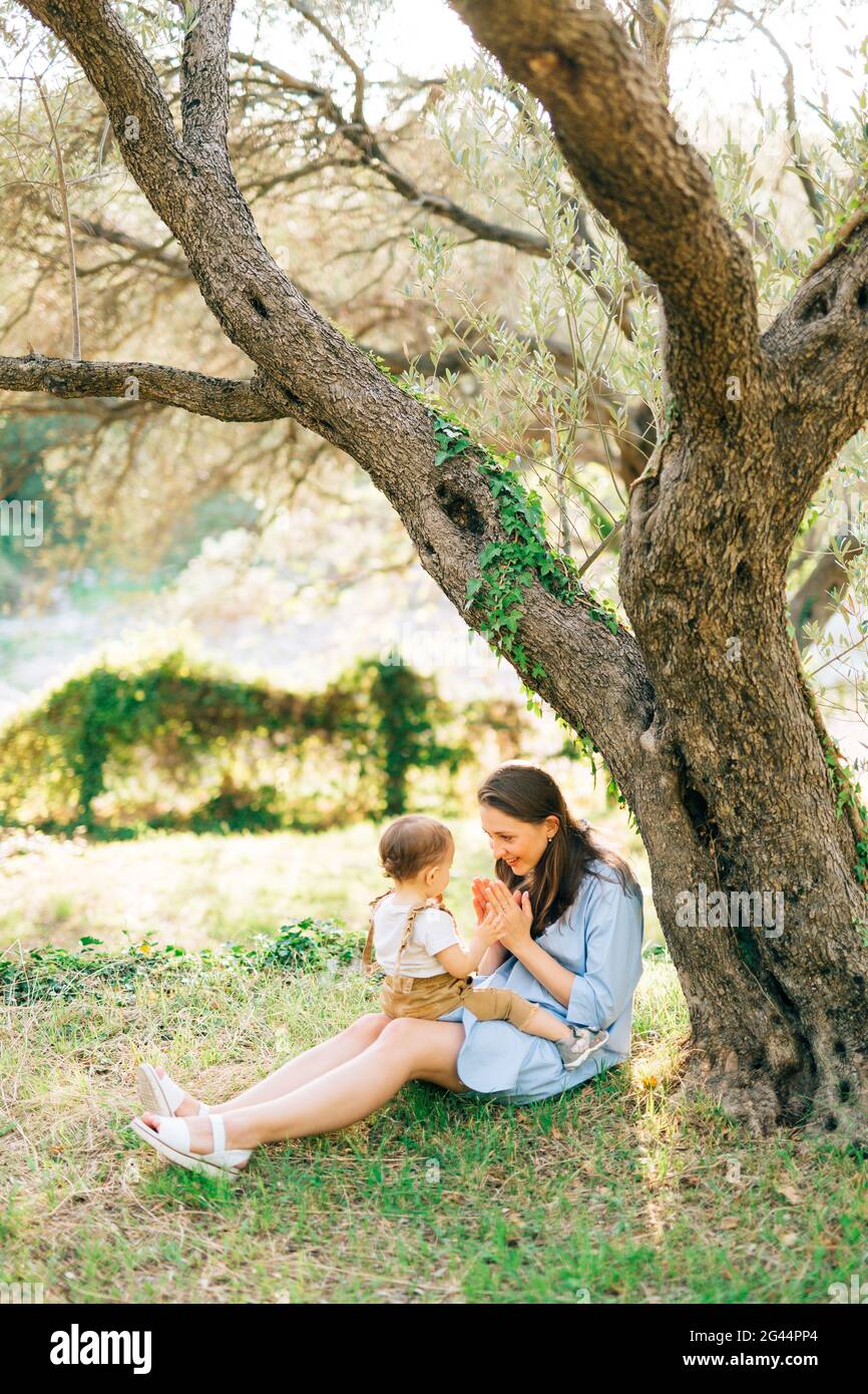 Mama sitzt mit ihrem kleinen Sohn auf den Knien Das Gras unter dem Baum in einem Olivenhain und Spielt mit ihm Stockfoto