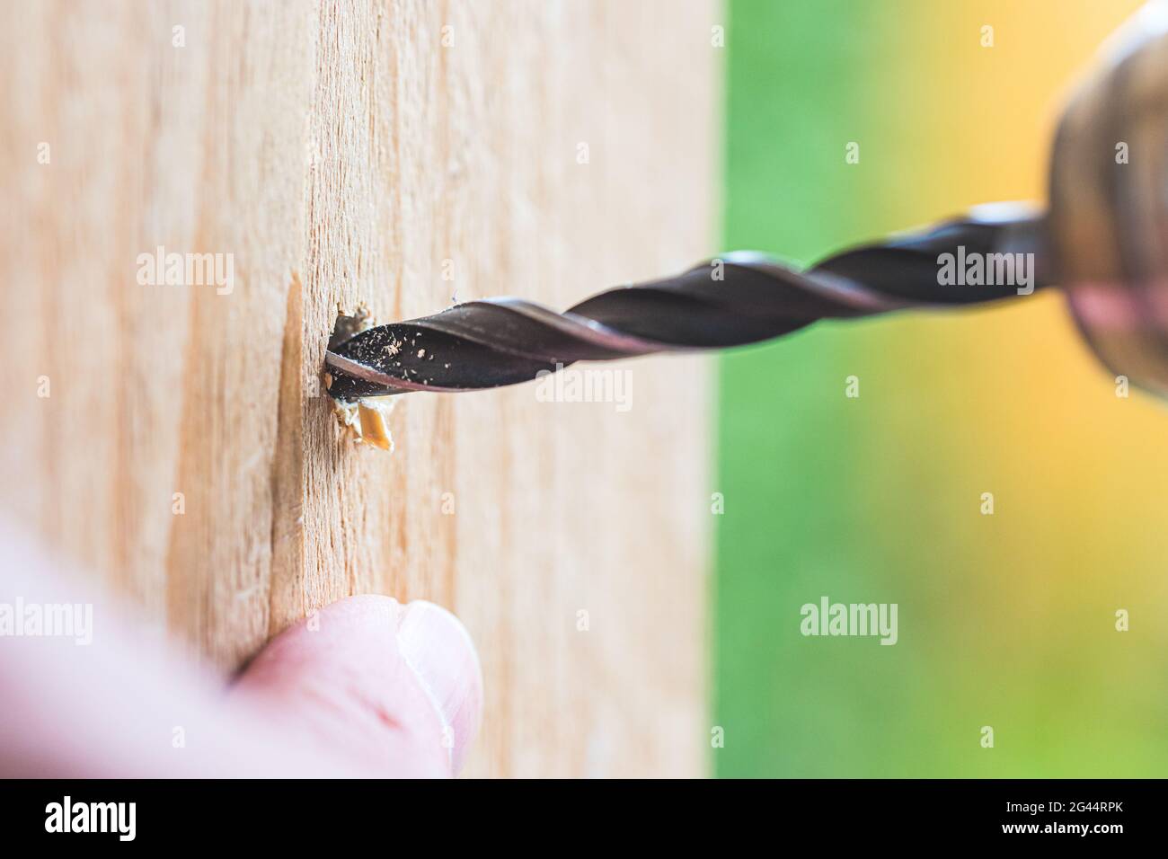 Machen Sie es selbst: Home Handyman verwendet eine Bohrmaschine zum Bohren von Holz Stockfoto