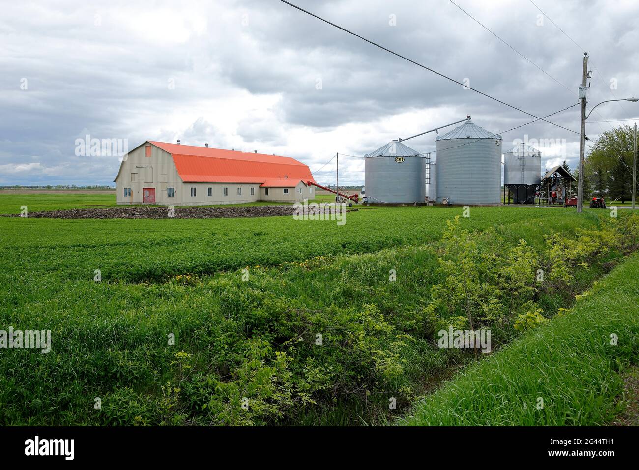 Farm, Quebec, Kanada Stockfoto