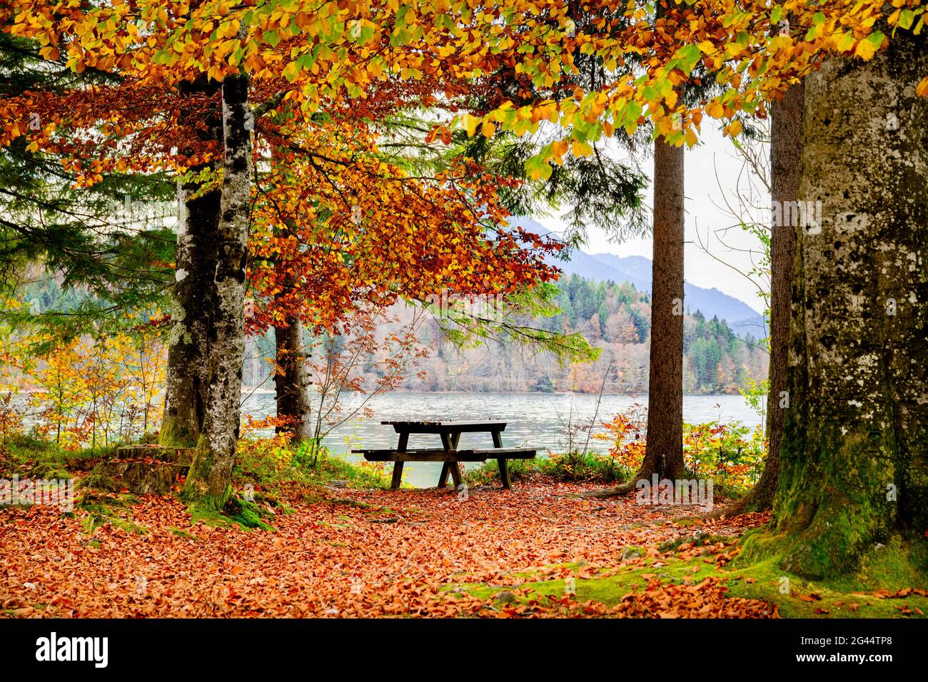 Picknicktisch, Wald in Herbstfarben und Walchensee, Bayern, Deutschland Stockfoto