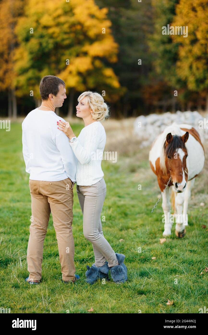 Der Mann umarmt eine Frau, während er auf dem Rasen im Herbstwald steht. Pferde grasen auf dem Rasen Stockfoto