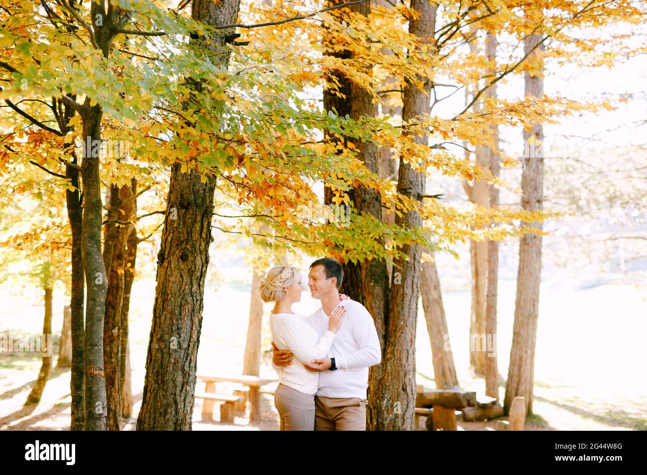 Mann und Frau in weißen Pullovern, die sich auf einem Hintergrund umarmen Von gelben und roten Blättern im Herbstwald Stockfoto