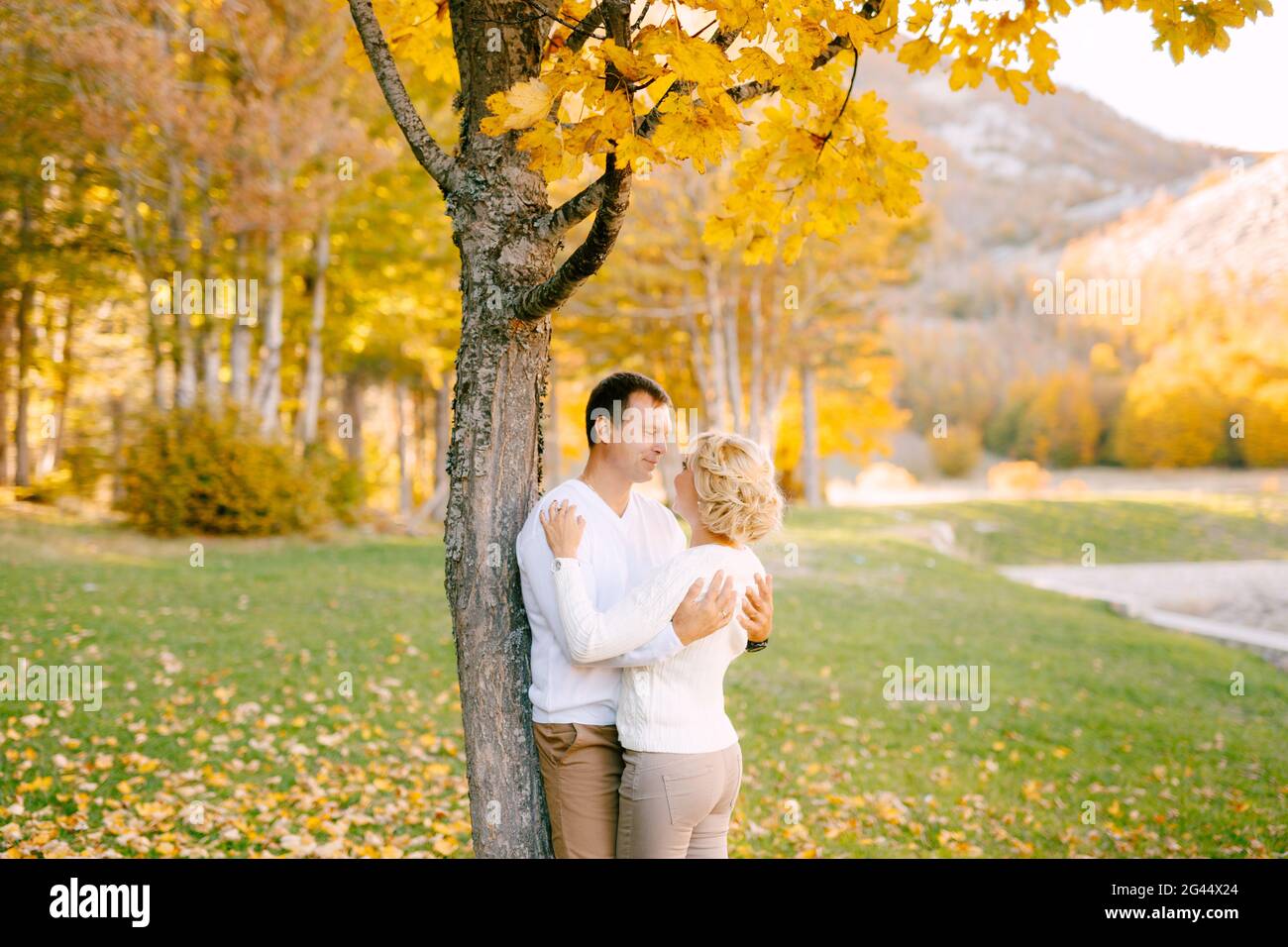 Der Mann umarmt die Frau an den Schultern neben einem Baum Der Herbstwald Stockfoto