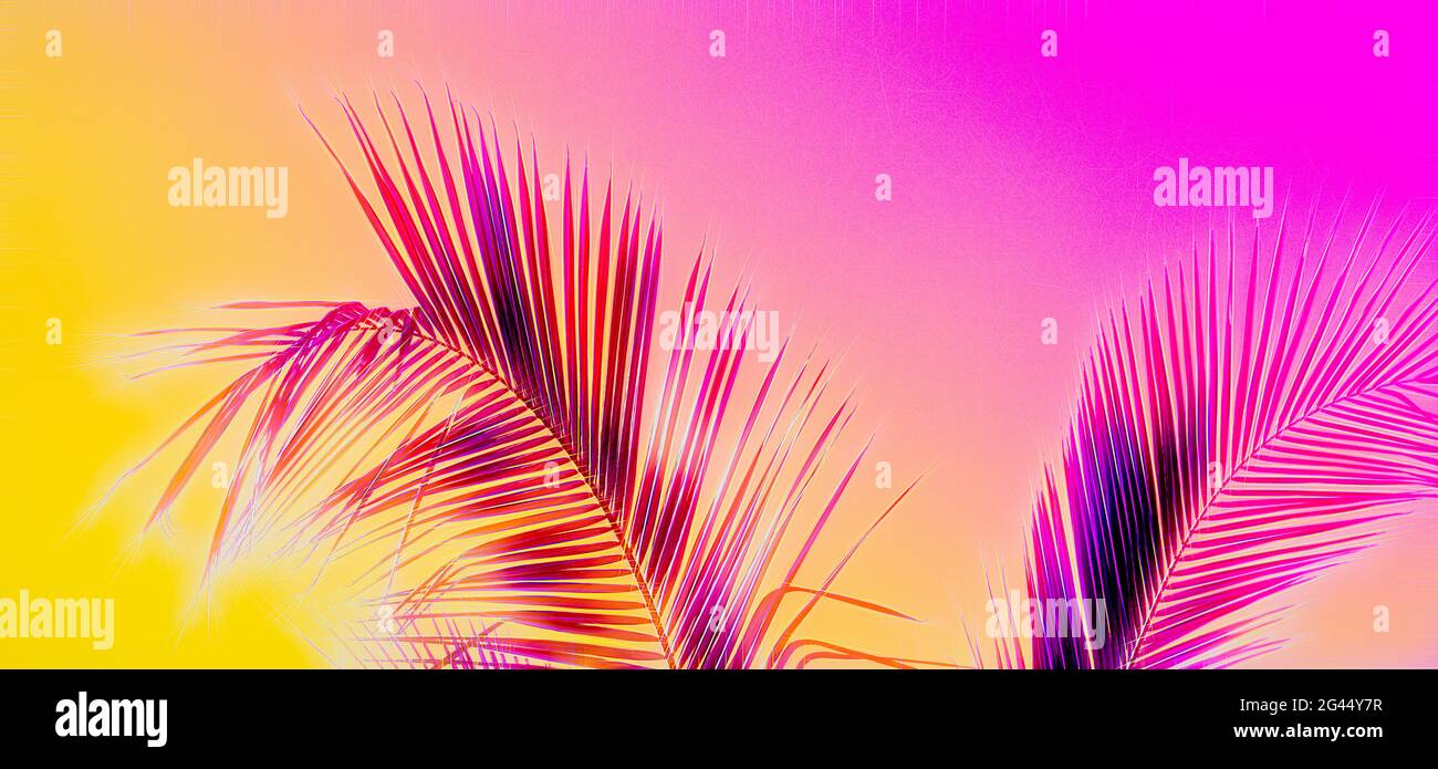Foto von Palmblättern mit Farbmanipulation Stockfoto