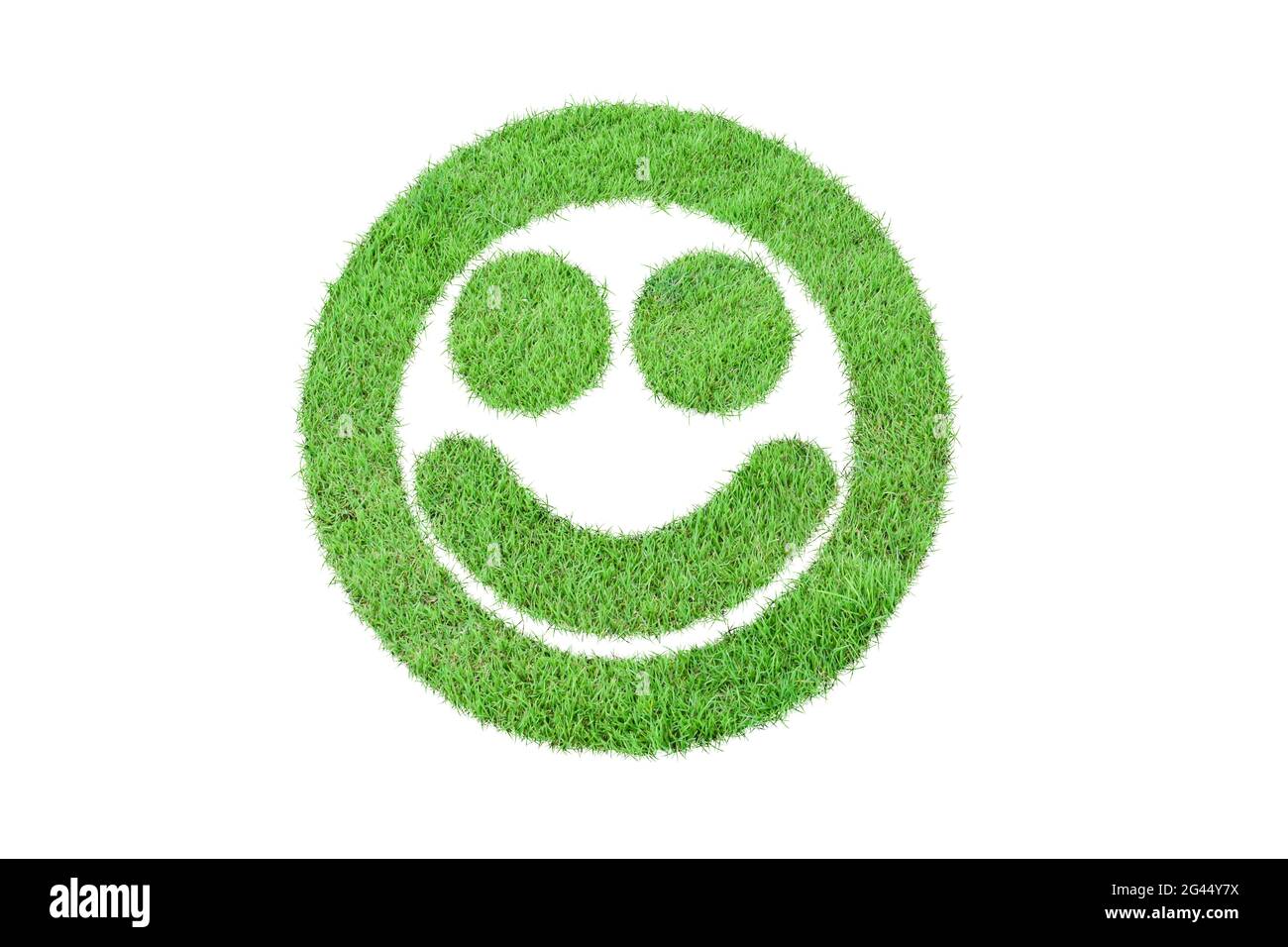Smiley Gesicht aus grünem Gras auf weißem Hintergrund isoliert geformt. Stockfoto