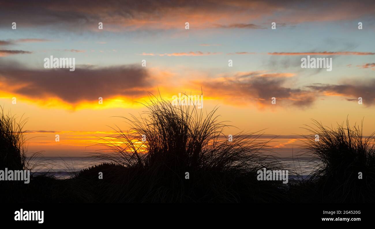 Dünengras und Pazifischer Ozean unter launischem Himmel bei Sonnenuntergang Stockfoto