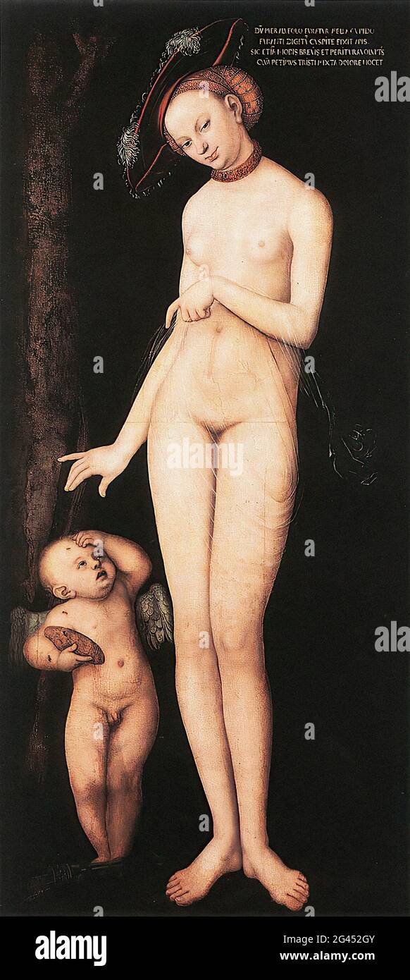Lucas Cranach der Ältere - Venus Amor 1531 Stockfoto