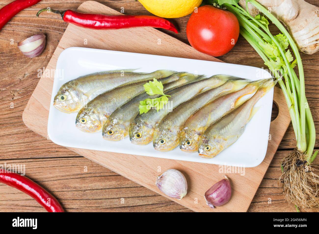 Gelbe Croaker Fisch Stockfoto