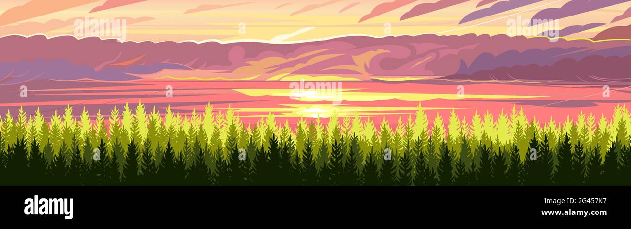 Kiefernwald. Silhouetten von Nadelbäumen. Wilde Landschaft horizontal. Roter Sonnenuntergang. Schöne Panoramasicht. Wunderschöne Illustration Vektorgrafiken Stock Vektor
