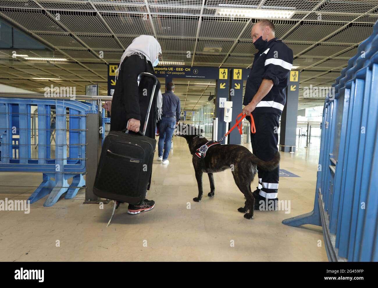 Marseille, Frankreich. Juni 2021. Es ist ein neues Instrument im Kampf gegen die Coronavirus-Epidemie. In Marseille haben die Marine-Feuerwehrleute bereits zwei ihrer Hunde trainiert, um Covid-verseuchte Menschen aufgrund ihrer extrem empfindlichen Geruchskapazitäten durch Geruch zu erkennen. Dieses System unterstützt die bereits am Flughafen Marseille-Provence in Marignane bestehenden Sicherheitsvorkehrungen. Marseille, Südfrankreich am 18. Juni 2021.Foto von Patrick Aventurier/Abacapress Quelle: Abaca Press/Alamy Live News Stockfoto