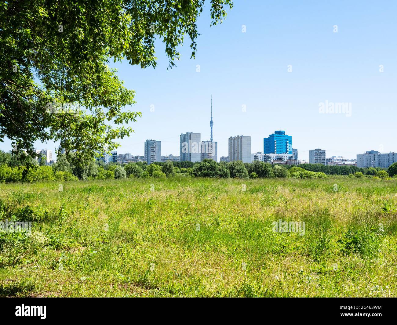 Grüne bewachsene Wiese und Wohngebiet am Horizont am sonnigen Sommertag Stockfoto