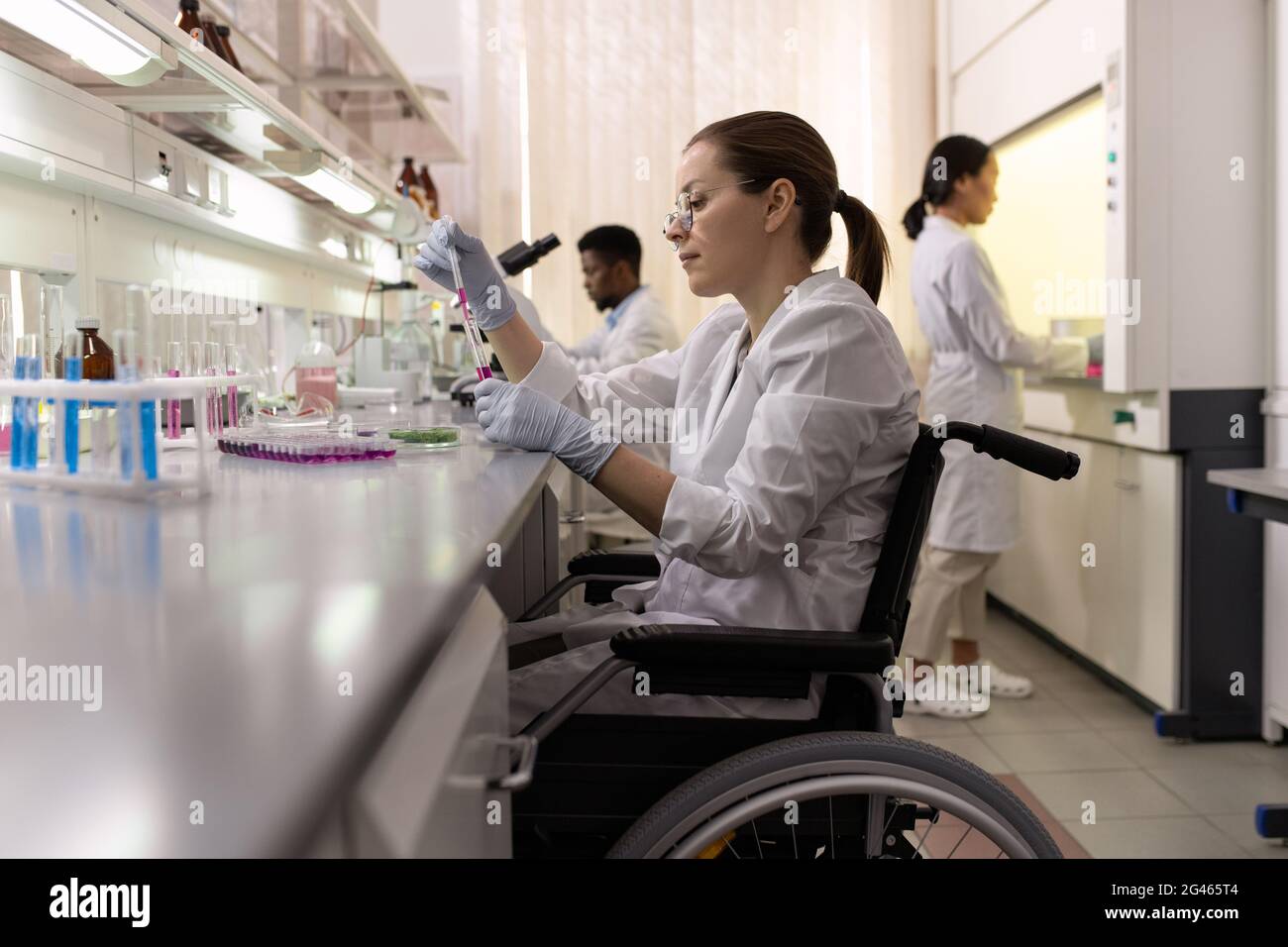 Seitenansicht einer Laborarbeiterin im Rollstuhl, die mit Flüssigkeiten in Kolben experimentiert Stockfoto