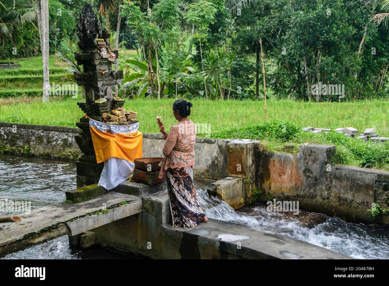 Lady in Sarong, die ihre täglichen Opfergaben im Pakerisan-Tal in der Nähe des Dorfes Tpaksiring darbrachte. Bali, Gianyar Regency, Indonesien Stockfoto