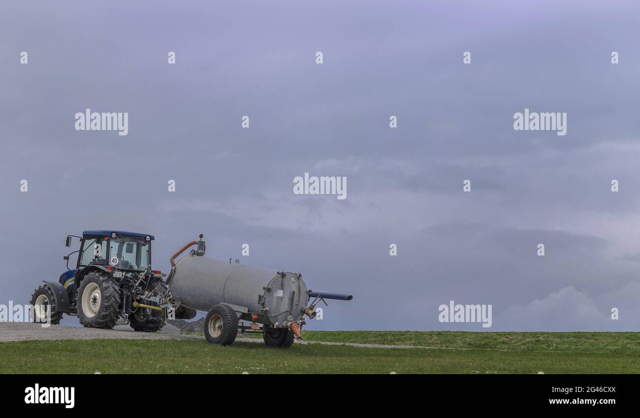Der Traktor auf dem Feld Stockfoto