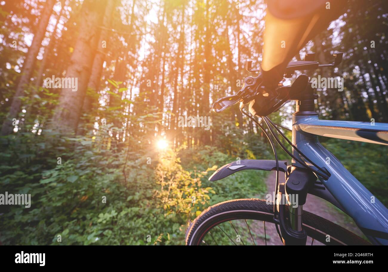 Thema der Aktivitäten im Fahrradverleihbereich. Blaues Fahrrad auf sonnigem Parkhintergrund Stockfoto