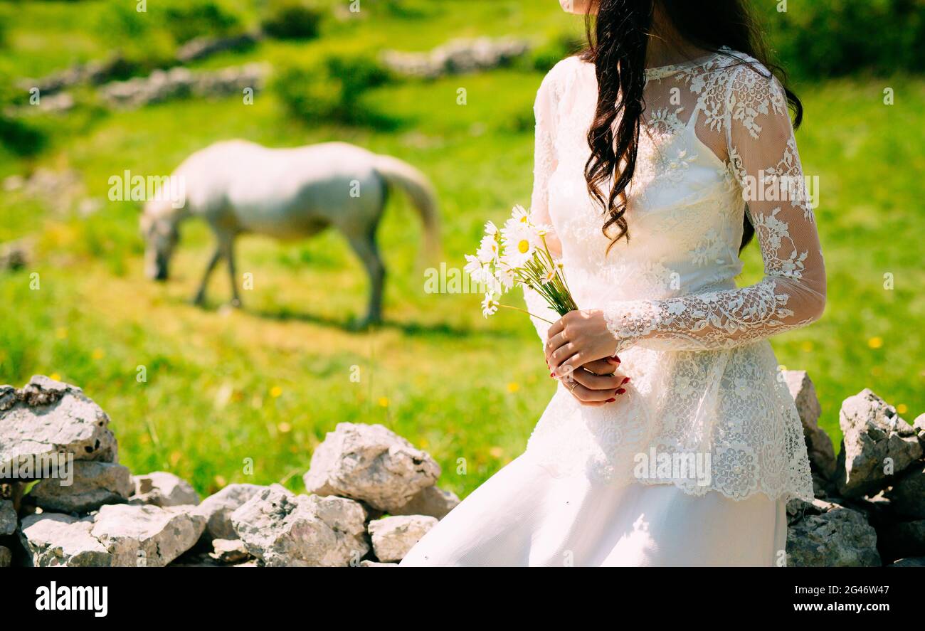 Brautstrauß von Gänseblümchen in die Hände der Braut. Hochzeit in Stockfoto