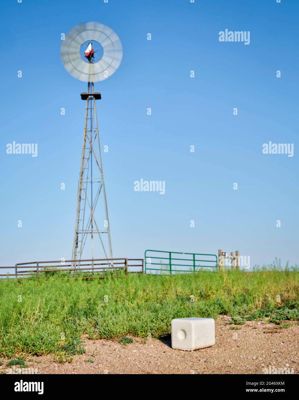 Salzblock für Rinder und Windmühlen pumpt Wasser in der grünen Prärie in Colorado - Pawnee National Grassland im Frühsommer Stockfoto