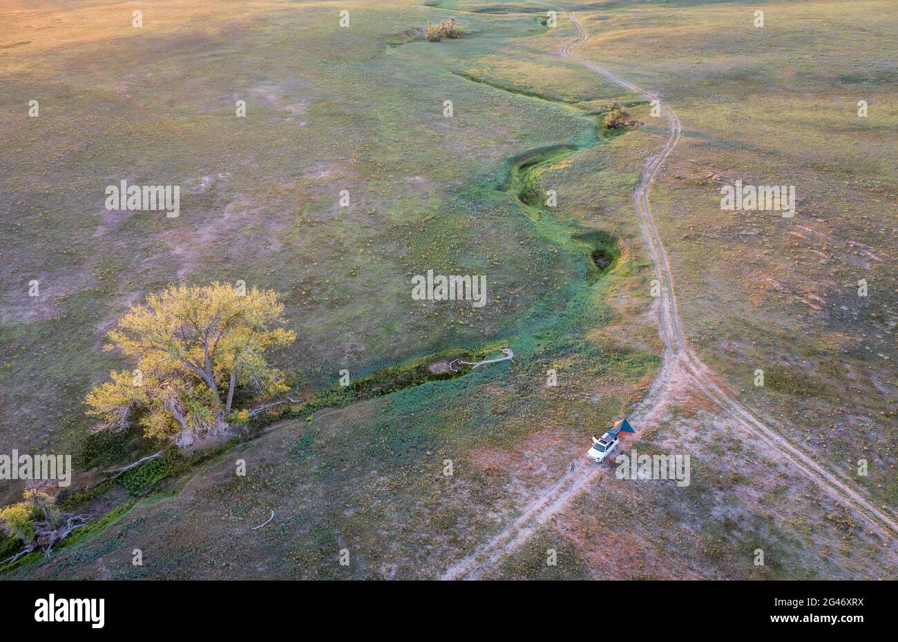 Luftaufnahme der grünen Prärie, eines saisonalen Baches und eines Geländewagens auf einer unbefestigten Straße. Pawnee National Grassland in Colorado Mitte Juni Stockfoto