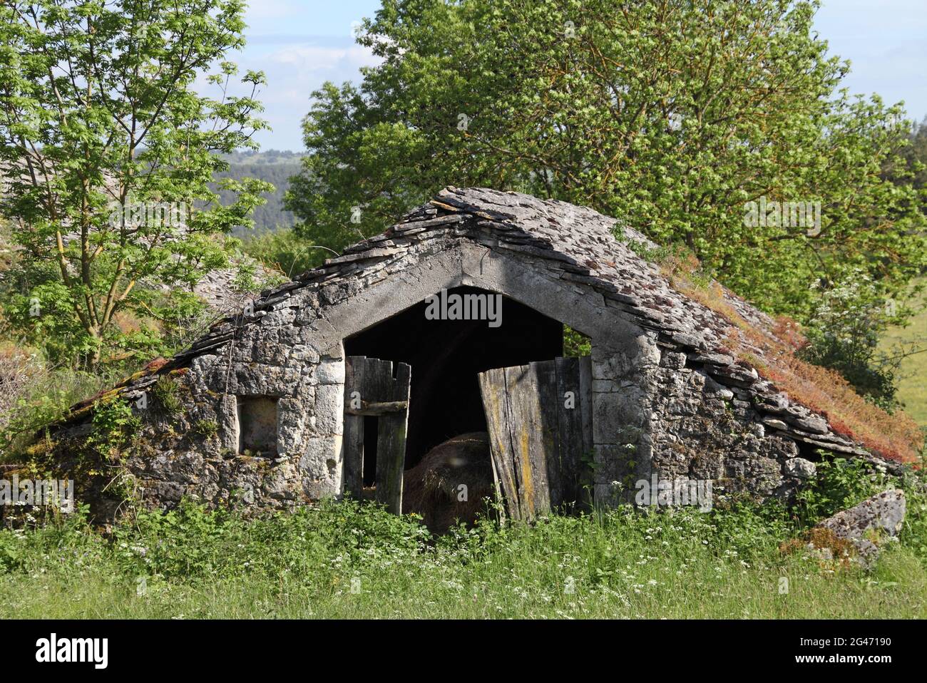 Abgelegene Dorfscheune auf der Causse Mejean, Aveyron, Cevennes National Park, Oczitanie, Frankreich verlassen Stockfoto