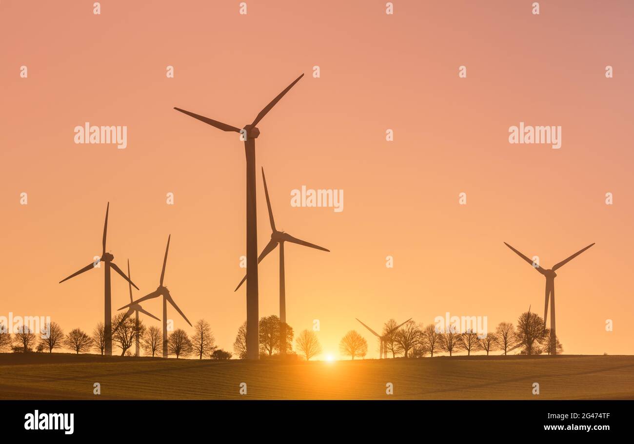 Windmühlen, Windenergie, ökologische Stromerzeugung, saubere Energieerzeugung im Morgenlicht Stockfoto