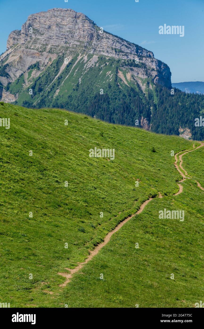 Pass von Pravouta, saint pierre de Chartreuse, isere, frankreich Stockfoto