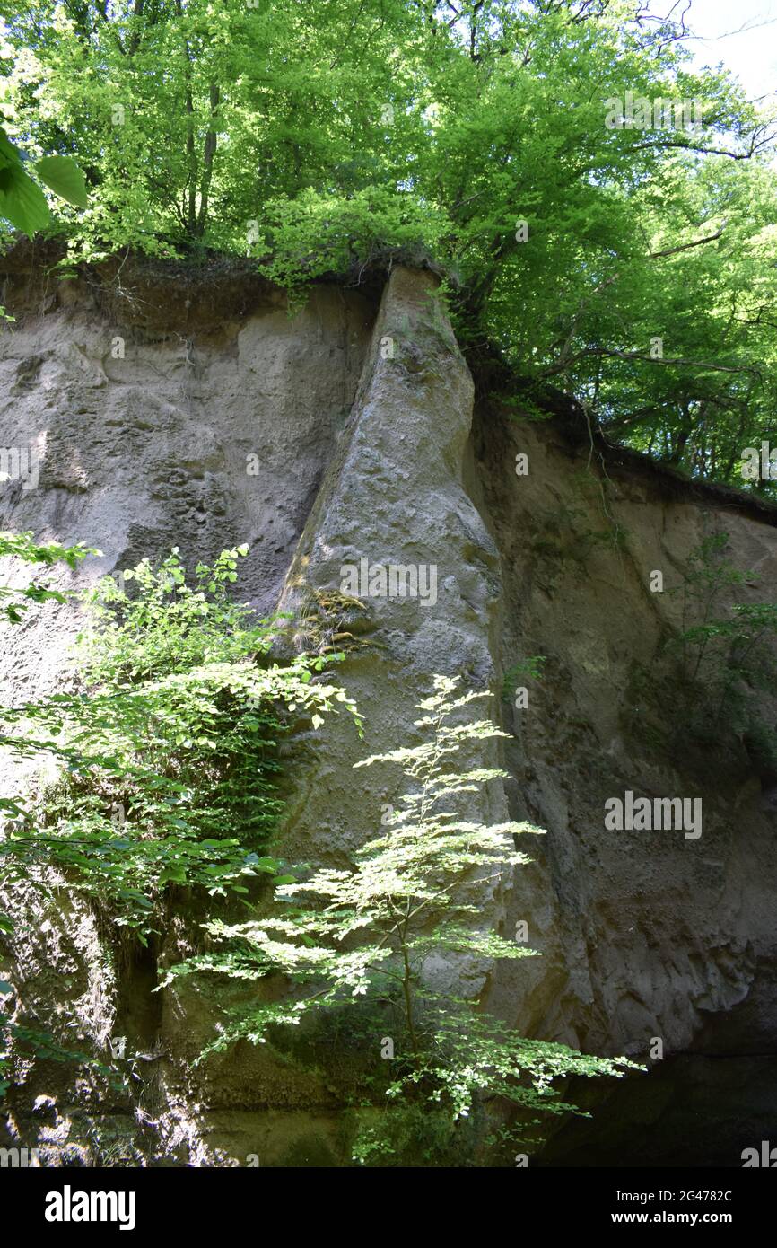Wolfsschlucht in der Eifel Stockfoto