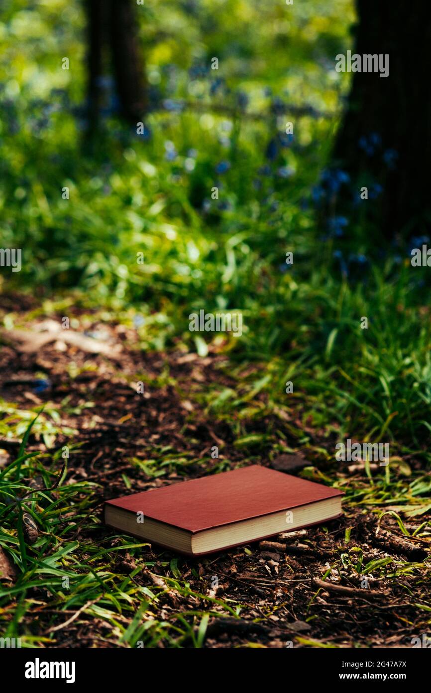 Geschlossenes Buch auf einem Weg durch den Wald Stockfoto