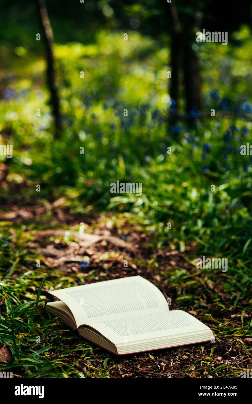 Buch öffnen auf einem Weg durch den Wald Stockfoto