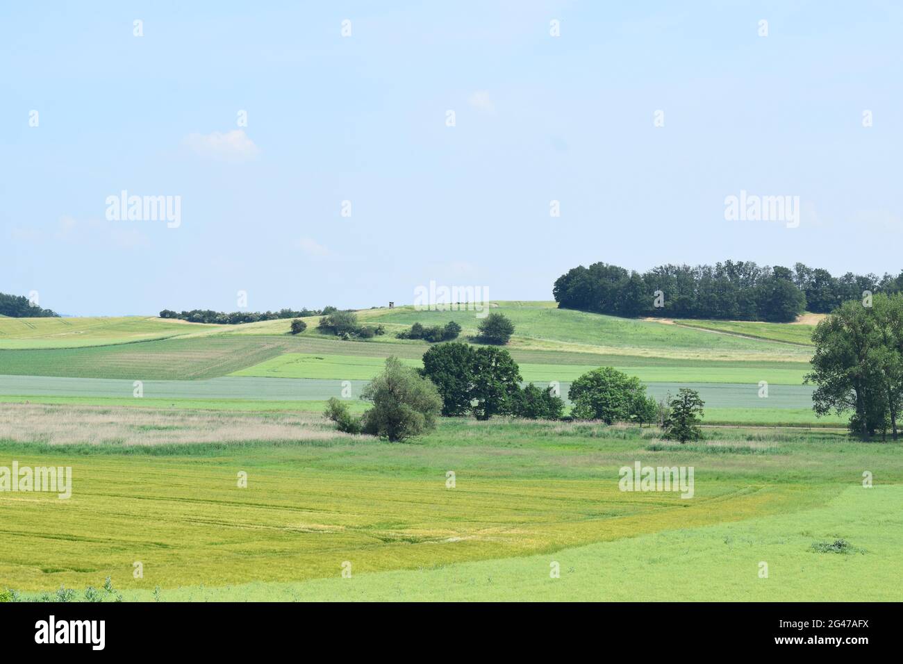 Thürer Wiesen mit grünen Getreidefeldern Stockfoto