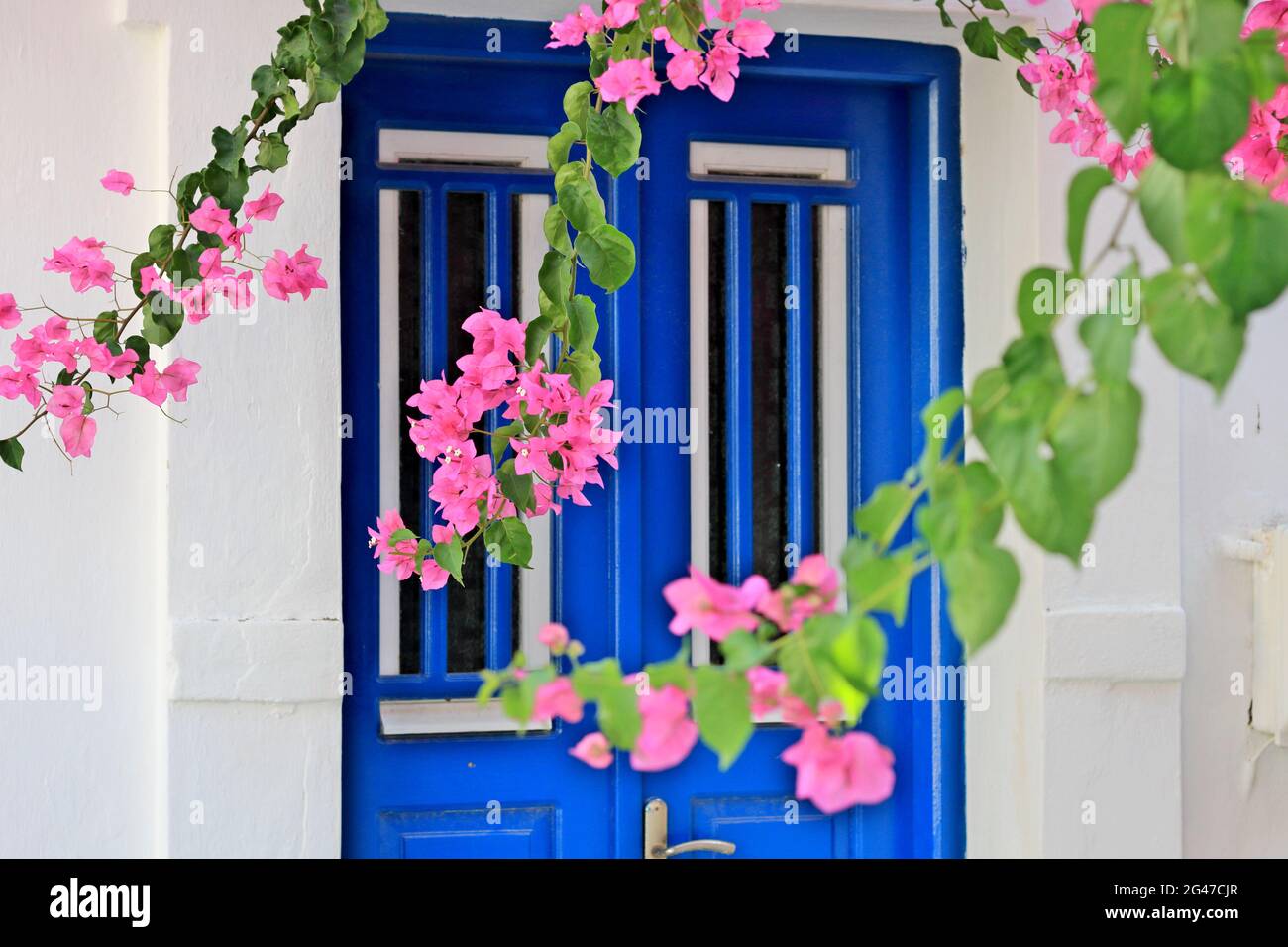 Malerische Ecke an einem traditionellen Haus mit blauer Holztür und blühenden Blumen, auf Kythnos Insel, Kykladen, Griechenland, Europa Stockfoto
