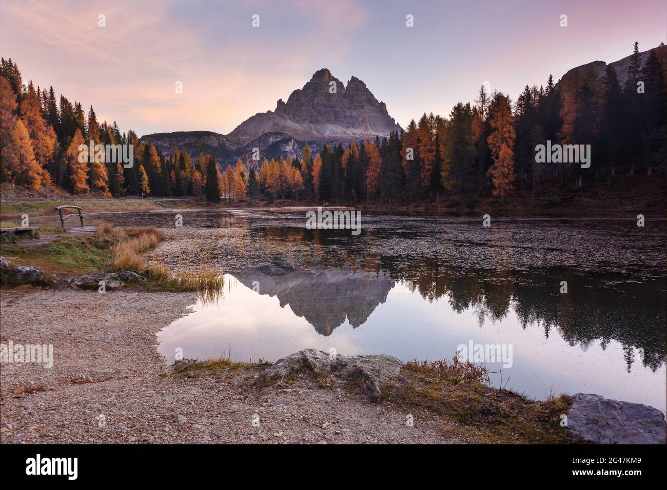 Majestätische Herbstlandschaft, alpine Gletschersee und gelb-Kiefern, Spitzen Antorno-See mit berühmten Tre Cime di Lavaredo im Hintergrund, Dolomiten, Ita Stockfoto