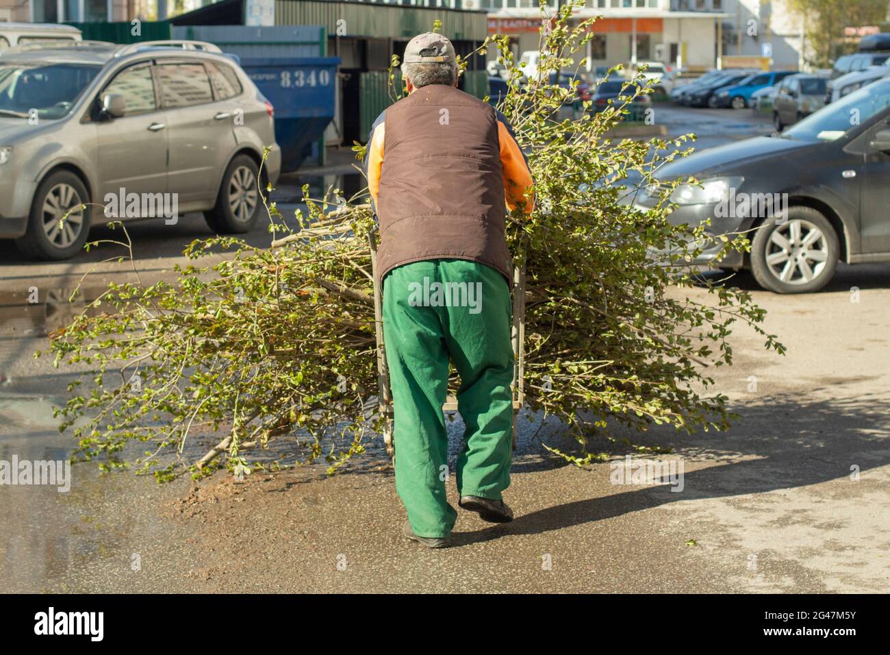 Ein Mann trägt einen zerschnittener Busch. Der Gärtner transportiert den abgeschnittenen Strauch. Pflanzen beschneiden. Stockfoto