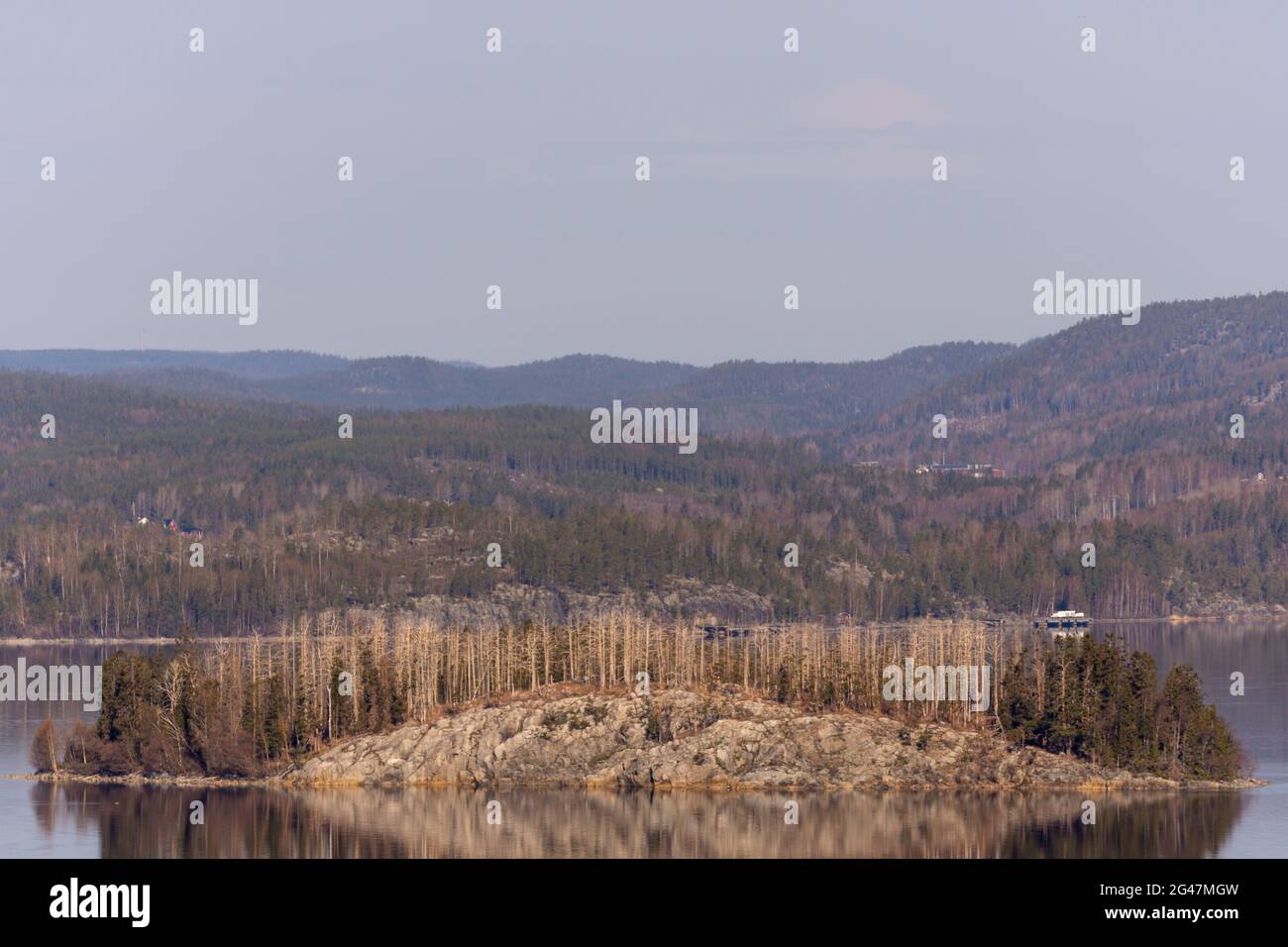 Insel mit teilweise zerstörter Umgebung, verursacht durch Kormoran (Phalacrocorax carbo) mit Bergen und Wald im Hintergrund, Bild aus vasterno Stockfoto